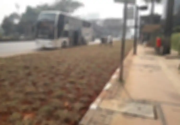 Ada 'Taman' di Antara Halte Bus dan Jalan Raya di Sudirman: ‘Jadi Kita Lewat Mana Kalau Mau Naik Bus?’
