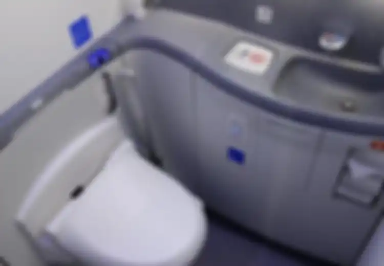 Ngeri, Awak Kabin Temukan Mayat Bayi yang Baru Lahir di Toilet Pesawat dalam Keadaan Mulut Penuh Tisu Toilet