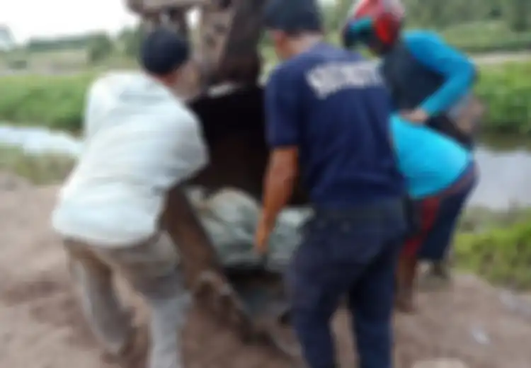 Terdengar Suara Minta Tolong, Saat Dihampiri Seorang Pemancing di Banyuasin Sudah Diseret Buaya ke Sungai