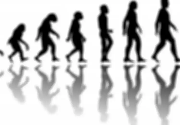 Hasil Evolusi, Sembilan Bagian Tubuh Ini Tak Lagi Dibutuhkan Manusia, dari Usus Buntu hingga Ekor