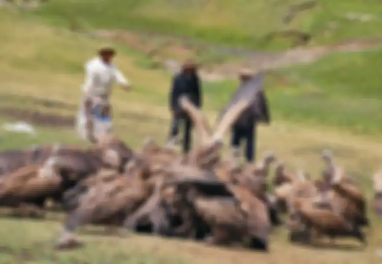 Mayat Dibiarkan Dimakan Burung Nasar, Inilah Jhator Ritual Pemakaman Mengerikan di Tibet