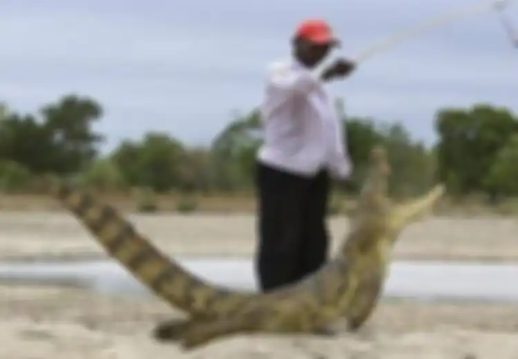 Ngeri! Penduduk Desa Bazoule Hobinya Bermain dan Makan Bareng dengan Ratusan Buaya