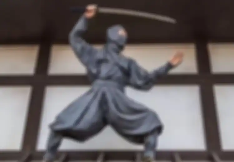  Viral Kota Iga Tawarkan Pekerjaan Sebagai Ninja Bergaji Rp1 Miliar, Ini Penjelasan Resmi Pemerintah Jepang