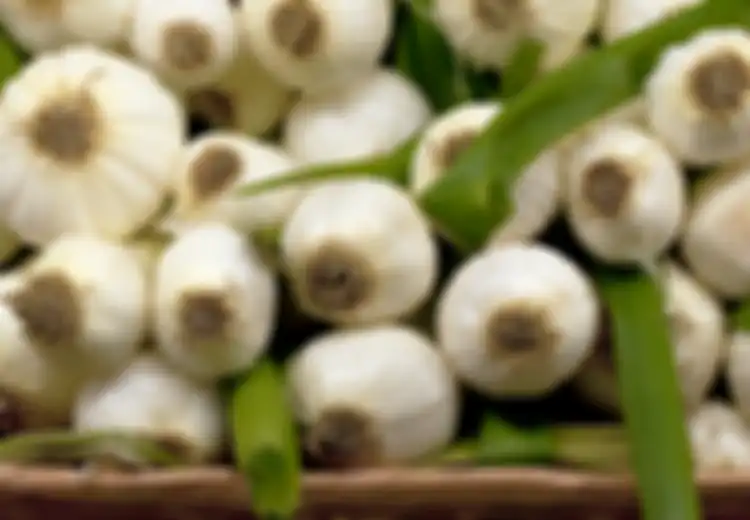 Berniat Obati Kutu Air Sendiri dengan Potongan Bawang Putih Mentah, Kaki Wanita Ini Justru Melepuh