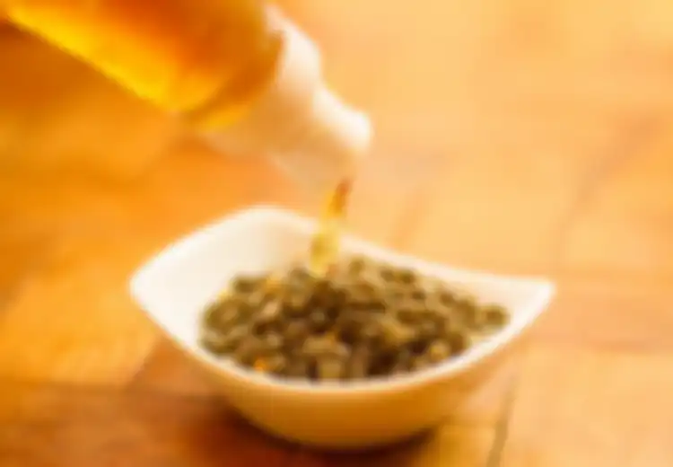 Perut Kosong? Konsumsilah Biji Pepaya dan Madu, Ini Manfaatnya!