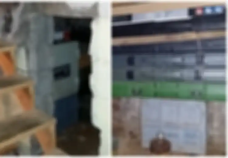 Beli Rumah dengan Harga Murah, Pria Ini Temukan Harta Karun 'Menakutkan' di Ruang Bawah Tanahnya