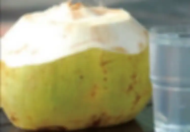 Jangan Salah! Meski Menyehatkan, Orang dengan Kondisi Ini Dilarang Minum Air Kelapa Muda