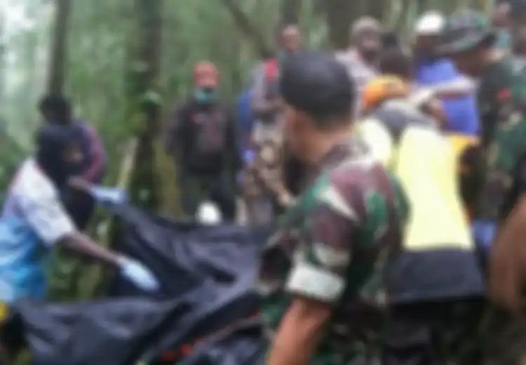 Lokasi Jatuhnya Pesawat Dimonim Air Ditemukan, Seorang Anak SD Selamat