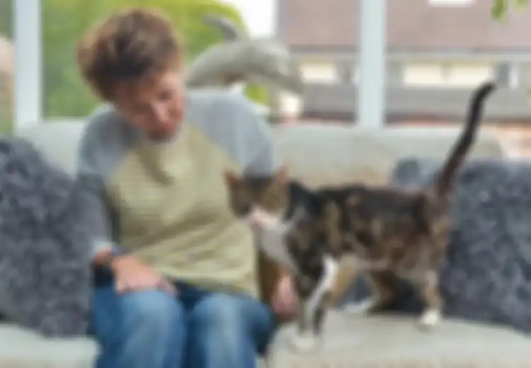 Unik, Setelah Menghilang 13 Tahun, Kucing Tua Ini Berhasil Pulang ke Rumahnya