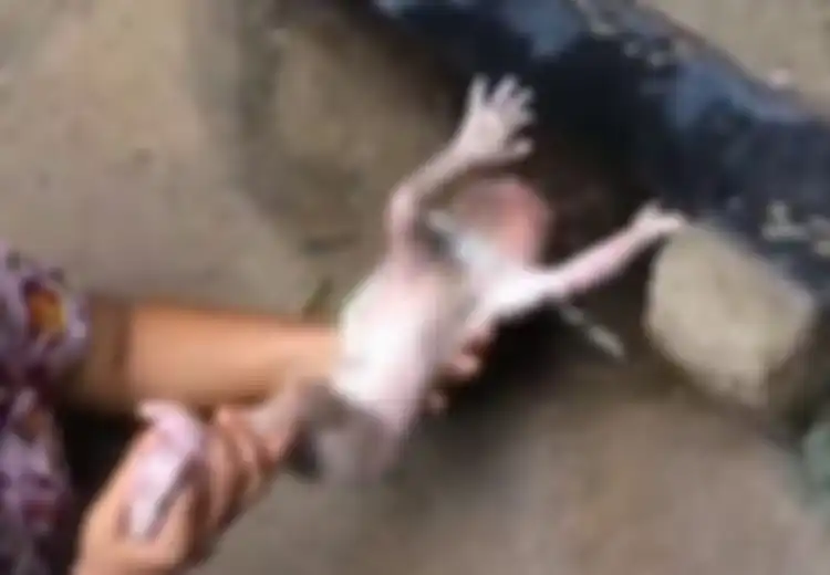 Tega, Bayi Baru Lahir Dibuang di Saluran Pembuangan dengan Tali Pusar yang Masih Menjerat Lehernya!