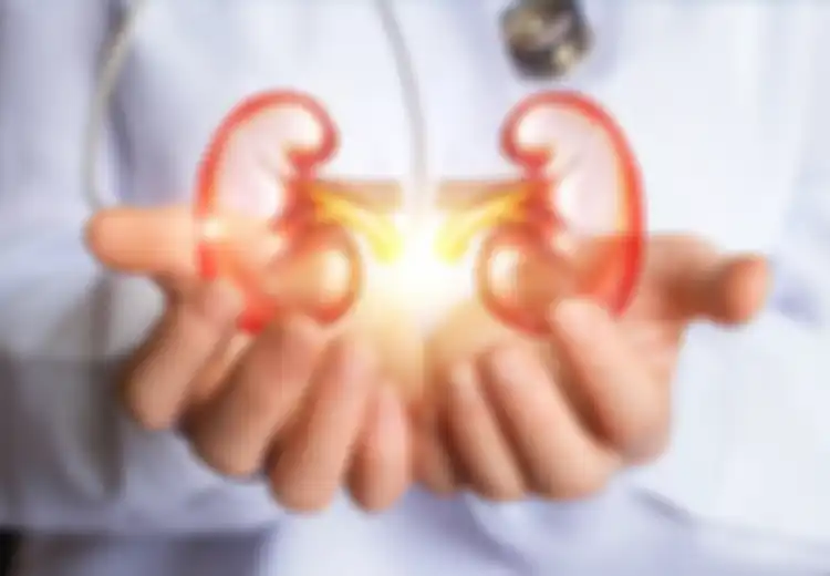 7 Kebiasaan yang Dapat Merusak Ginjal Kita, Salah Satunya Menahan Buang Air Kecil
