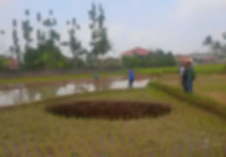 Lubang Raksasa Sukabumi Melebar Jadi 30 Meter, Apa Kata Ahli Tentang Fenomena Ini?