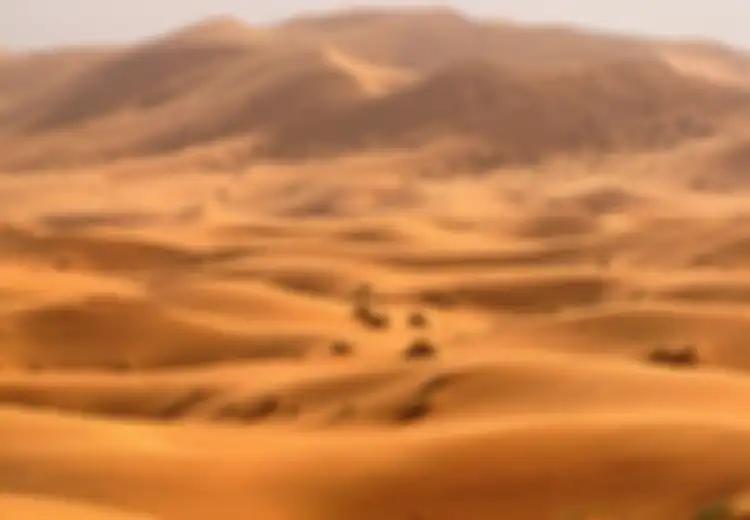 Para Ilmuwan Ingin Hijaukan Gurun Sahara yang Gersang, Bagaimana Caranya?