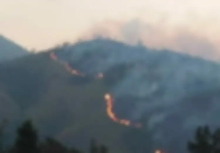 4 Gunung Populer di Jawa Terbakar Sejak Awal September, Ini Fakta-faktanya!