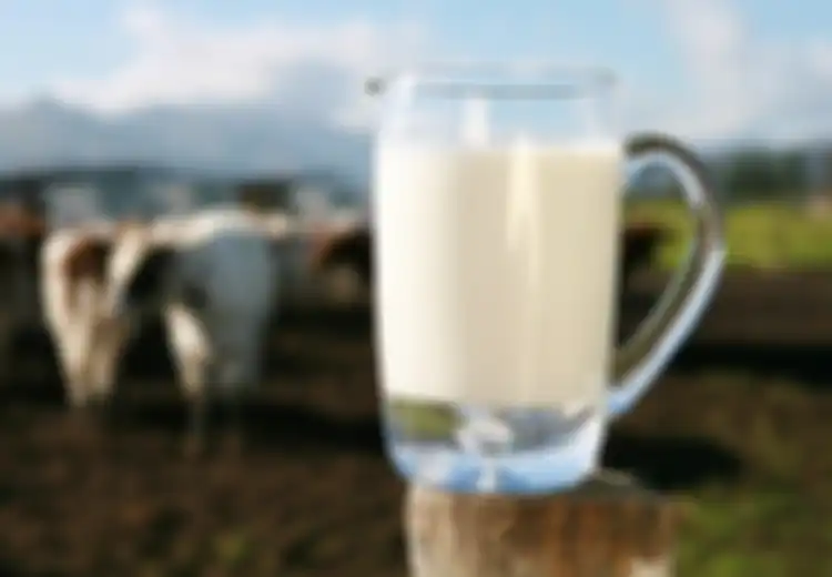 Susu Segar adalah Jenis Susu Terbaik untuk Dikonsumsi, Ini Alasannya
