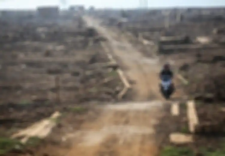 Desa Terendam Muncul Lagi di Waduk Jatigede, Ini 5 Kota yang Tenggelam di Seluruh Dunia