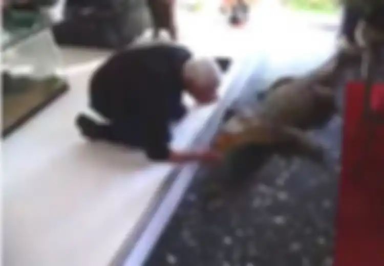 Inilah Phillipe Gillet, Pria yang Hidup dengan 400 Predator Mematikan dalam Satu Rumah