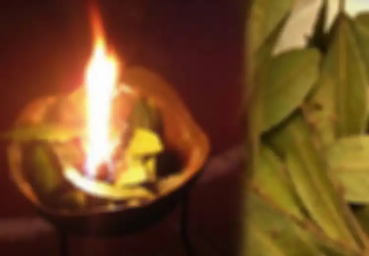 Tak Disangka, Bakar Daun Salam dalam Ruangan Selama 10 Menit Akan Memberikan Manfaat Menakjubkan pada Tubuh Seperti Pergi ke Spa!