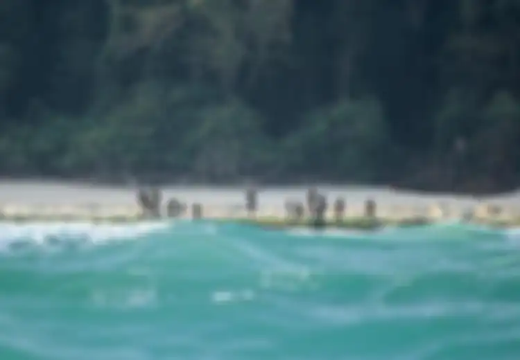 Berada Tak Jauh dari Ujung Barat Indonesia, Pulau ini Sangat Sulit Dikunjungi, Berisi Suku Paling 'Berbahaya' di Dunia