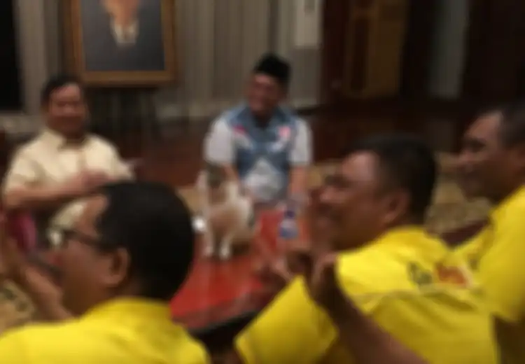Prabowo Rapat Ditemani Kucingnya, Ternyata Ini 5 Sifat Para Pencinta Kucing!