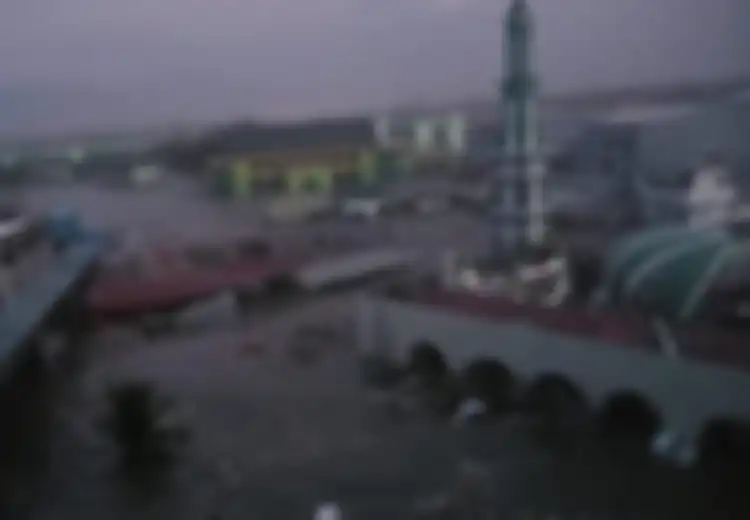 Sudah Pasang Detektor, Kenapa Tsunami di Palu Tetap Tak Terdeteksi? Ini Jawaban Badan Informasi Geospasial