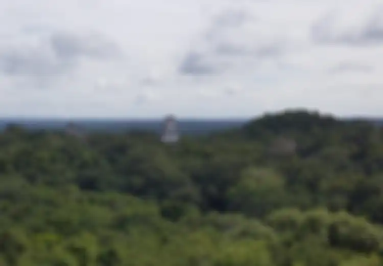 Gunakan Laser, 60 Ribu Bangunan Peradaban Maya yang Hilang Kini Ditemukan