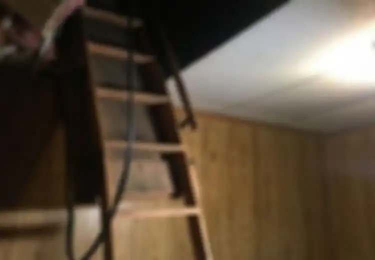 Bikin Merinding, 11 Jasad Bayi Ditemukan di Langit-Langit Rumah 