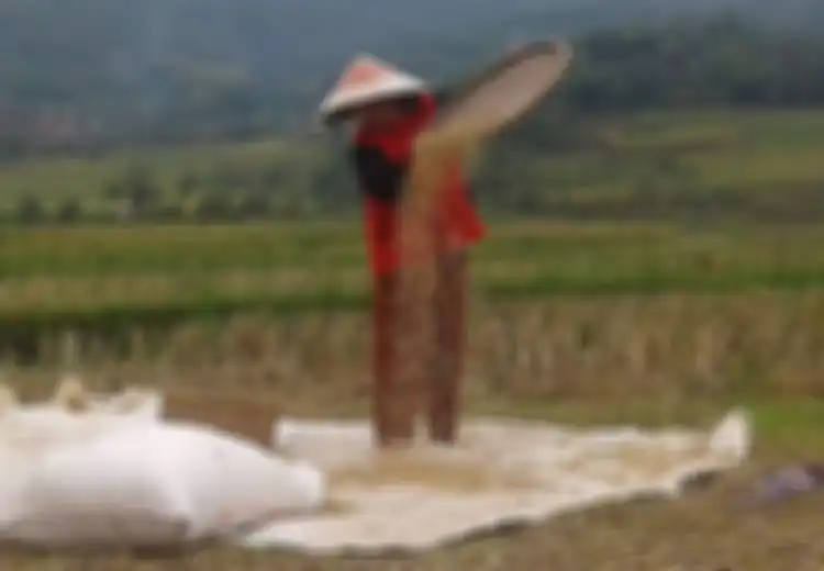 Jutaan Petani Lenyap dalam 10 Tahun Terakhir, Manusia Butuh 3 Bumi Jika Ingin Tetap Hidup pada Tahun Ini, Sudah Dekat