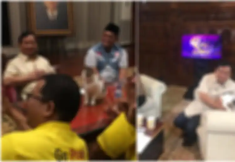 Sering Temani Prabowo Saat Rapat, Ini 4 Fakta Kucing Bobby