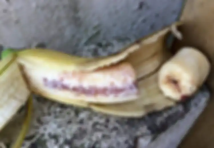 Viral, Kabar Pisang Disuntikan Darah HIV, Benarkah  HIV Ditularkan Dengan Cara Itu?