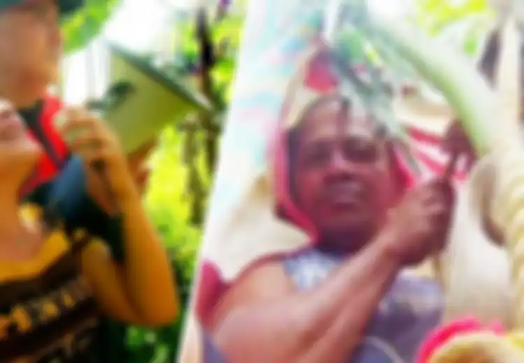 Selama 3 Tahun Pria Ini Tinggal di Atas Pohon Kelapa, Alasan di Baliknya Ternyata Sungguh Ironis