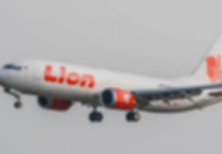 Kisah Satu Keluarga yang Jadi Korban Lion Air JT 610: Suami Ambil Cuti untuk Antar Istri dan Bayinya Pulang