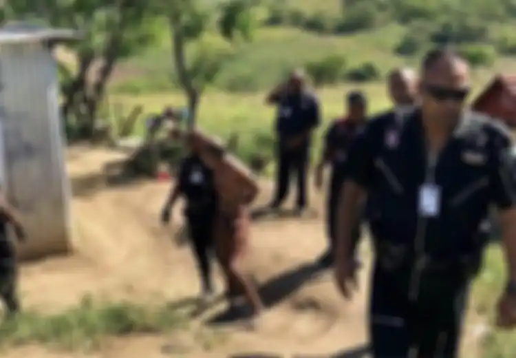 Mendengar Kucing Meronta,  Wanita Ini Melihat Kucingnya di Rudapaksa Seorang Pria