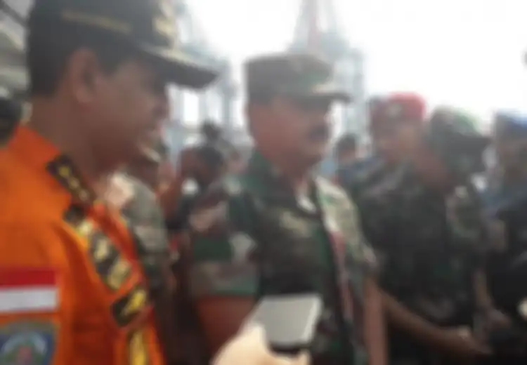 Panglima TNI: Koordinat Pesawat Jatuh Mulai Ada Titik Terang