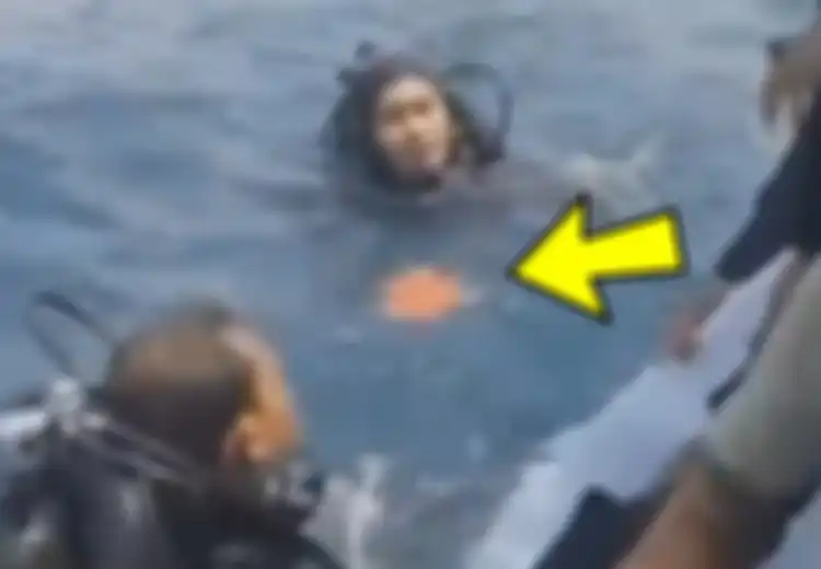 Mengintip Kemampuan Spesial Prajurit Yontaifib, Pasukan Marinir Penemu Black Box Lion Air JT 610