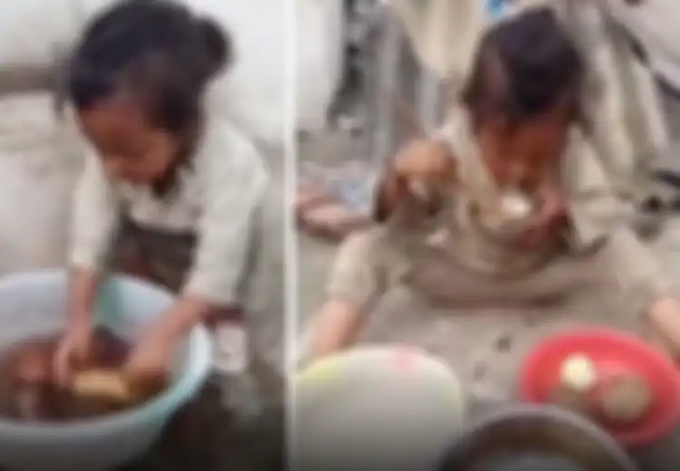 (Video) Gadis 7 Tahun ini Hidup Seorang Diri di Gunung dan  Andal Lakoni Pekerjaan Orang Dewasa, Kemana Orangtuanya? 