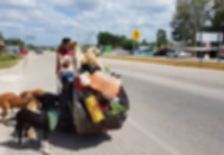 Edgargo si 'Manusia Anjing' yang Keliling Negaranya dengan Becak untuk Selamatkan Anjing Jalanan