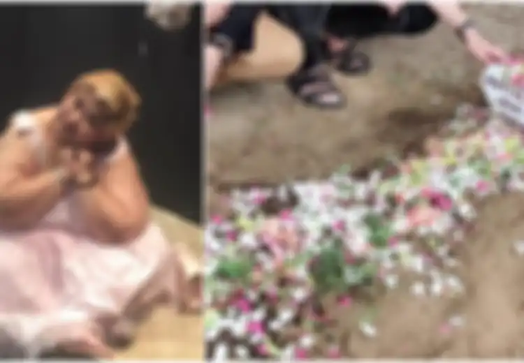 Sebelum Meninggal, Pretty Asmara Punya Keinginan Sederhana, Makan Ikan Bakar dan Dibelikan Pampers