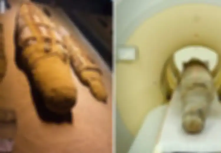 Ilmuan Kaget Ketika Mengetahui Mumi Mesir Kuno yang Mereka Periksa dengan CT Scan Bukanlah Manusia!