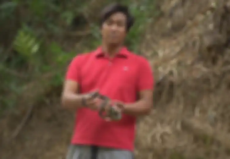 Pawang Ular Ini Bocorkan Kisah Hidupnya Menjadi Manusia yang Kebal dari Gigitan Ular Kobra yang Beracun