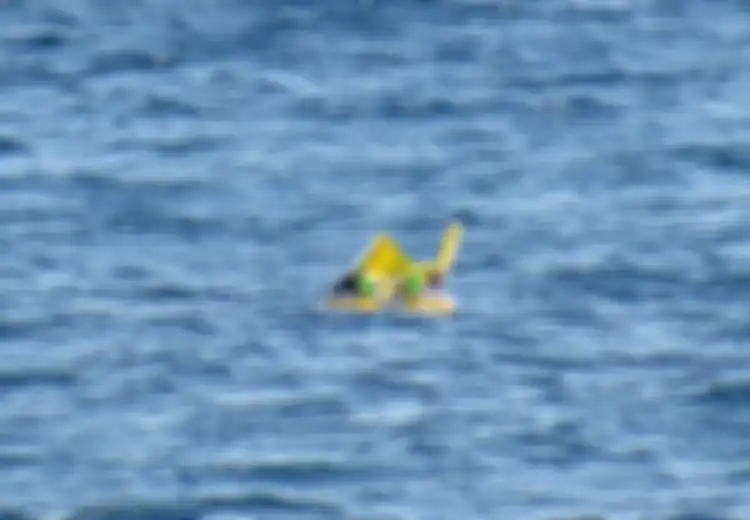 Dikira Boneka yang Mengambang di Tengah Laut, Ternyata Itu Bayi!