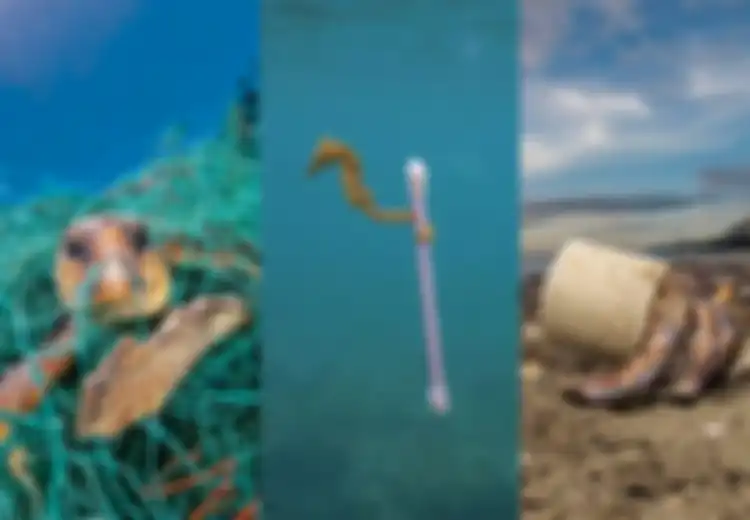 Paus Sperma Mati 'Mengandung' 5,9 Kg Sampah Plastik: 7 Foto tentang Dampak Mengerikan dari Sampah Plastik Ini Tak Kalah Mengerikan