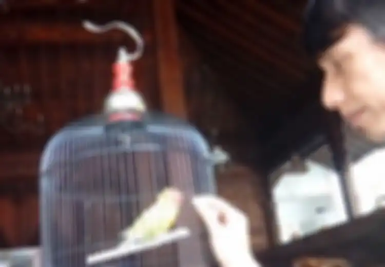 Pernah Ditawar Rp2 Miliar, Lovebird Kusumo Malah Mati Mendadak!