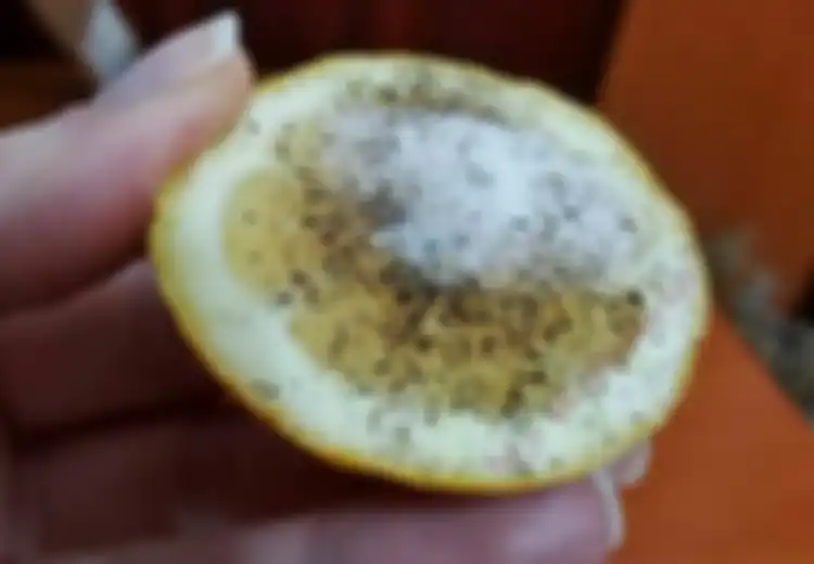 Lada, Lemon, dan Garam: Resep Manjur Bagi 10 Masalah Kesehatan Berikut