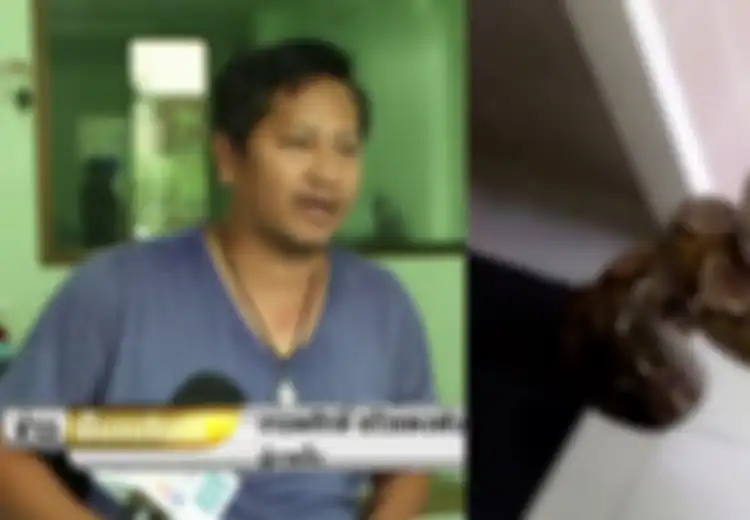 Sedang Kencing di Toilet, Alat Vital Pria Ini Diserang Ular Piton, Seperti Ini Kondisinya Kini