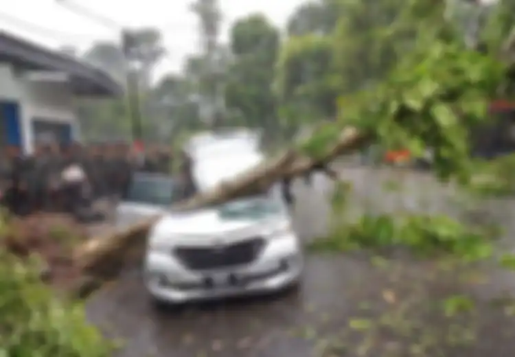 Bogor Diterjang Puting Beliung, 50 Rumah Rusak,  Seorang Ibu Tewas saat Jemput Anak Sekolah