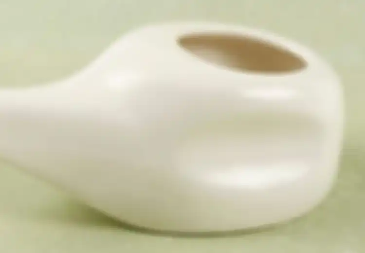 Bilas Hidung dengan Air Keran Menggunakan Neti Pot, Seorang Wanita Tewas karena 'Amoeba Pemakan Otak'