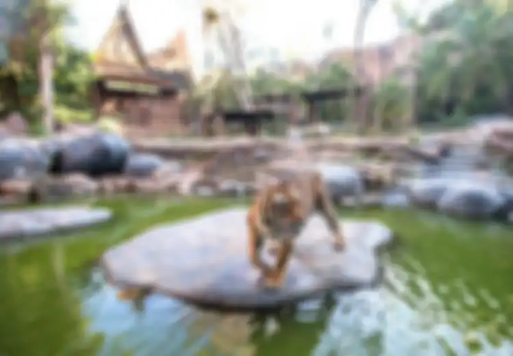 Menjelajah Batu Secret Zoo, Kebun Binatang Terbaik di Indonesia 
