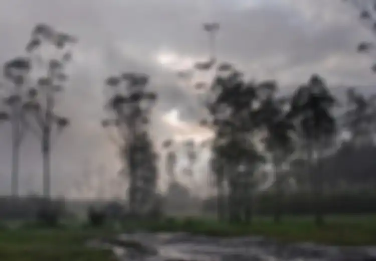Menikmati  Kehangatan Keluarga Bersama Kabut Pagi Ranca Upas