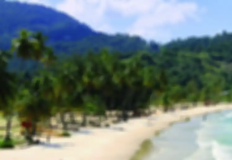 Lokasi Wisata 'Pulau Seks' Terbongkar, Para Turis akan Menerima Sanksi Ini